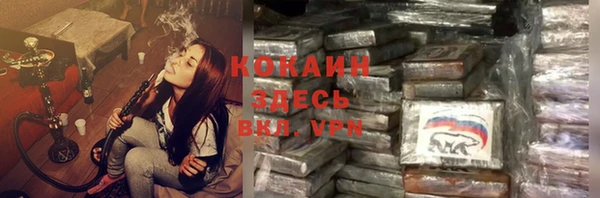шишки Куйбышев