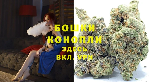 шишки Куйбышев