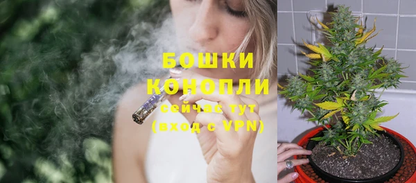 шишки Куйбышев