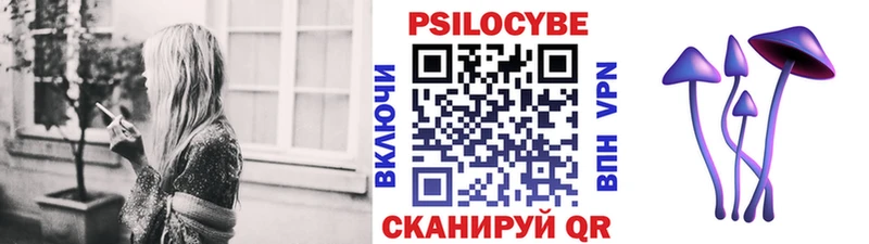 Купить Камызяк Псилоцибиновые грибы мицелий